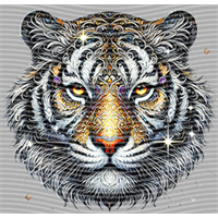 Animal Integration-DW 1819